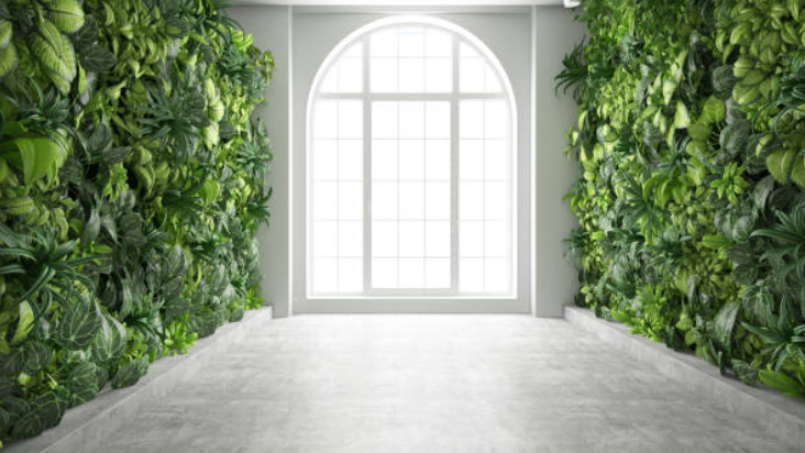 Evinizi Dönüştürecek Dikey Bahçe Fikirleri